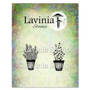 Lavinia Stamps - Rosemary & Thyme Pots [LAV948]