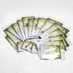 Lavinia Stamps - Set of 16 New Designs - April 2021
