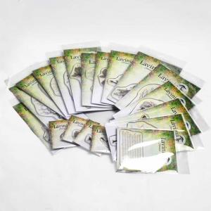 Lavinia Stamps - Set of 16 New Designs - April 2021