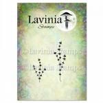 Lavinia Stamps - Thyme [LAV952]