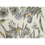Ligarti Postcards - Hummingbirds - ON SALE!