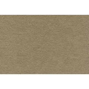 Wool Felt - Toffee - 12" x 18"