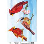 Joggles / Elizabeth St Hilaire A4 Rice Paper - Birds & Blooms - Cardinal [74549]