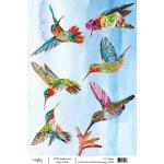 Joggles / Elizabeth St Hilaire A4 Rice Paper - Birds & Blooms - Hummers [74548]