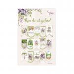 Kaisercraft Clear Stamp Set - Fleur [CS325]