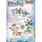 PaperArtsy Eclectica by Alison Bomber - Fodder School Stamp Set [EABF]