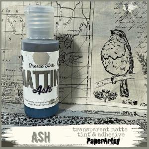 PaperArtsy Mattint - Ash [MT10]