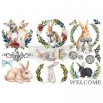 Prima Re-Design Décor Transfers - Cottontail [653453] - ON SALE!