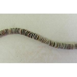 Heishi Beads - 5 mm Green Oyster [Q14]
