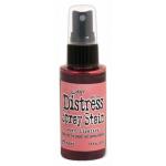 Tim Holtz Distress Spray Stains - Worn Lipstick