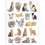 Stamperia A4 Rice Paper - Cats [DFSA4887]