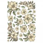 Stamperia A4 Rice Paper - White Flowers [DFSA4987]