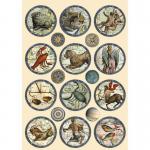 Stamperia Cosmos Infinity Collection Wooden Shapes [KLSP127]