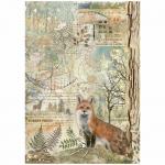 Stamperia Forest Collection - A4 Rice Paper - Forest Fox [DFSA4951]