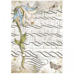Stamperia Garden House Collection A4 Rice Paper - Columbin [DFSA4668]