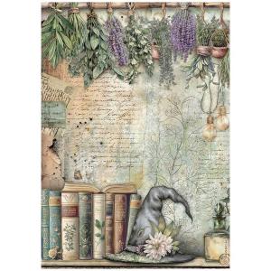 Stamperia Herbarium Silvae Collection - A4 Rice Paper - Books [DFSA41081]
