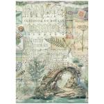 Stamperia Herbarium Silvae Collection - A4 Rice Paper - Bridge [DFSA41079]