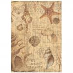 Stamperia Sea Land Collection - A4 Rice Paper - Shells [DFSA4859]