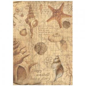 Stamperia Sea Land Collection - A4 Rice Paper - Shells [DFSA4859]