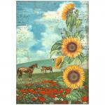 Stamperia Sunflower Art Collection A4 Rice Paper - Horses [DFSA4767]