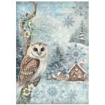 Stamperia The Owl's House Collection - A4 Rice Paper - Owl [DFSA41052]