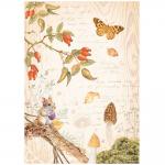 Stamperia Woodland Collection - A4 Rice Paper - Butterfly [DFSA4817]