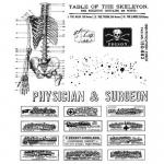 Stampers Anonymous/Tim Holtz Unmounted Rubber Stamps - [CMS412] Examination