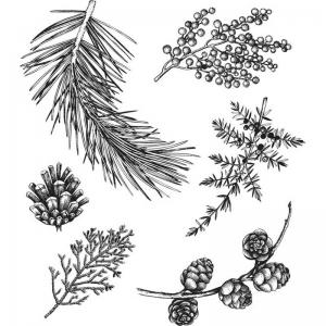 Stampers Anonymous/Tim Holtz Unmounted Rubber Stamps - [CMS422] Forest Floor