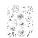 Stampers Anonymous/Tim Holtz Unmounted Rubber Stamps - [CMS445] Floral Elements