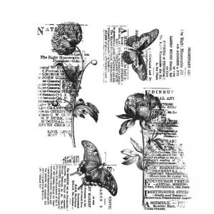 Stampers Anonymous/Tim Holtz Unmounted Rubber Stamps - [CMS447] Botanic Collage