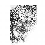 Stampers Anonymous/Tim Holtz Unmounted Rubber Stamps - [CMS449] Glorious Bubbles with Acrylic Block