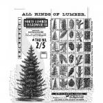 Stampers Anonymous/Tim Holtz Unmounted Rubber Stamps - [CMS476] Winter Woodlands