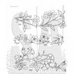 Stampers Anonymous/Tim Holtz Unmounted Rubber Stamps - [CMS486] Embroidery