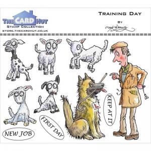The Card Hut Clear Stamps Set - Training Day [MBWWTD]