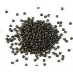 Toho Magatama Beads - [M614] Matte Iris Brown