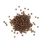 Toho Magatama Beads - [Y191] Hybrid Topaz/Bronze Vega