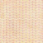 Basic Grey "Two Scoops" - [TSC-1056] Dreamsicle