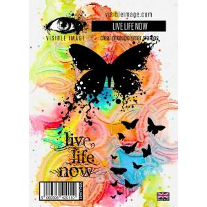 Visible Image Clear Stamp Set - Live Life Now [VIS-LIN-01]