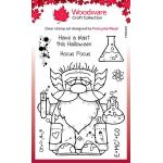 Woodware Craft Collection Clear Stamp Set - Professor Gnome [FRS1010]