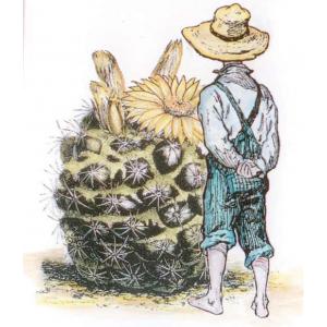 La Blanche - [1266] Befriending A Cactus