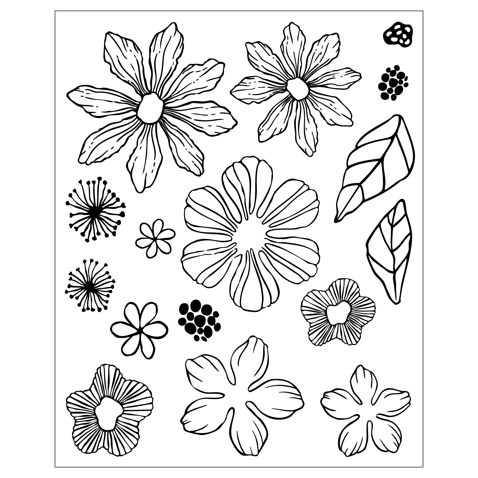Vicki Boutin / Sizzix Stamps & Framelits - Floral Layers #1 [667074] - Image 3