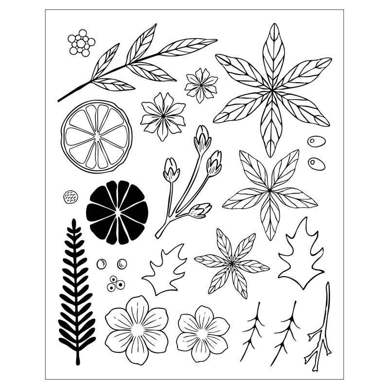 Vicki Boutin / Sizzix Stamps & Framelits - Winter Florals [667192] - Image 3